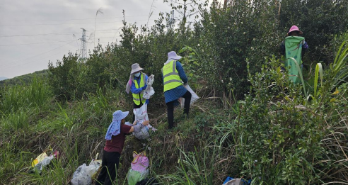广东碧春晖农业有限公司 (1)