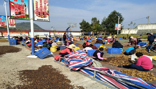 乐昌市银河农业发展有限公司 (2)