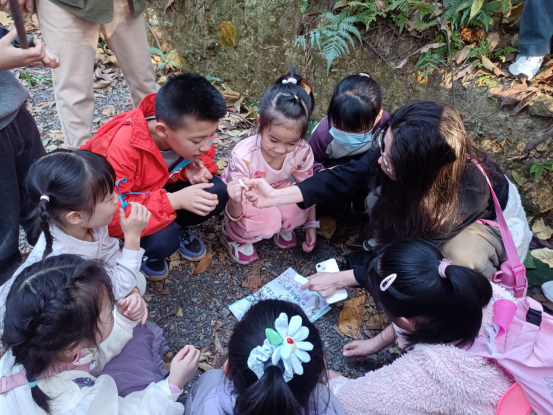 把森林变成课堂:“荒野求生大自然指北针”活动新闻稿907