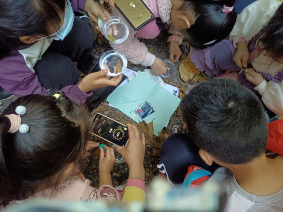 把森林变成课堂:“荒野求生大自然指北针”活动新闻稿1154