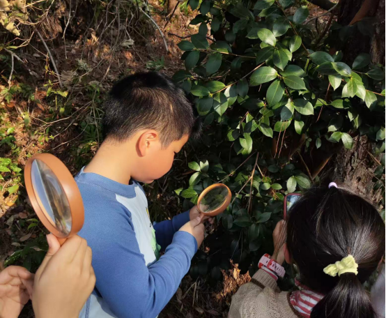 20260117“儿童友好 绿美童行”之“大树过冬的密码”亲子户外课堂新闻稿765