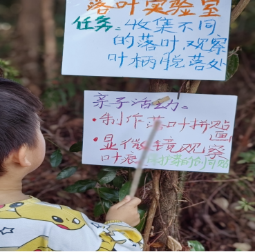 20260117“儿童友好 绿美童行”之“大树过冬的密码”亲子户外课堂新闻稿959