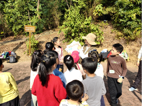 20260117“儿童友好 绿美童行”之“大树过冬的密码”亲子户外课堂新闻稿966